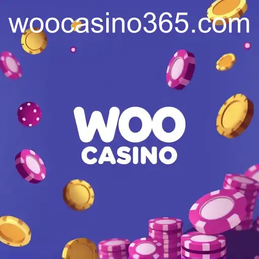 Exploring User Agreements: The Case of WooCasino